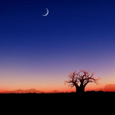 球王会体育app下载