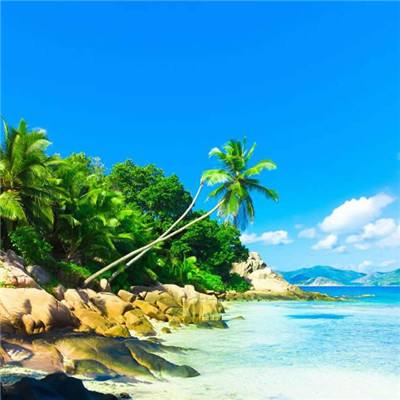 im电竞平台app下载