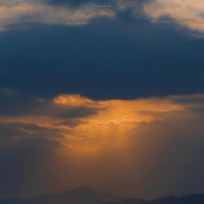 乐鱼app手机app下载