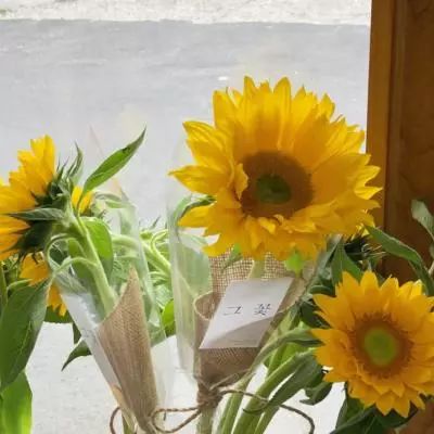 永盈会手机版截图